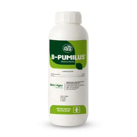 B-PUMILUS®