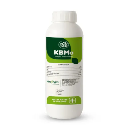 KBMo