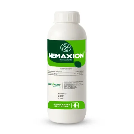 NEMAXION